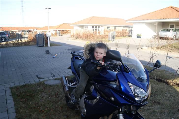 Suzuki GSF 1250SAK8 Bandit SOLGT - Hit med nøglen daddy! billede 4