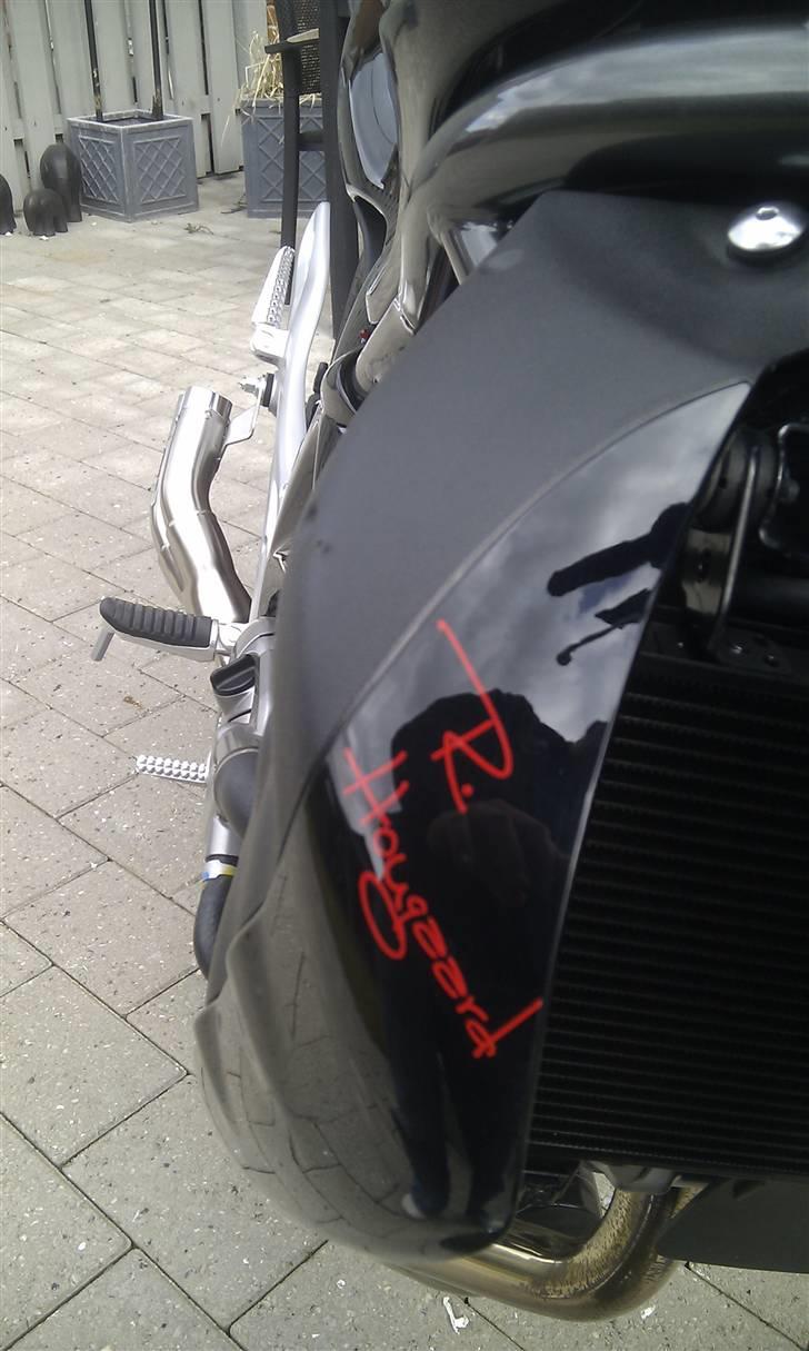 Suzuki SFV 650 Gladius K9 - Førernavn billede 13