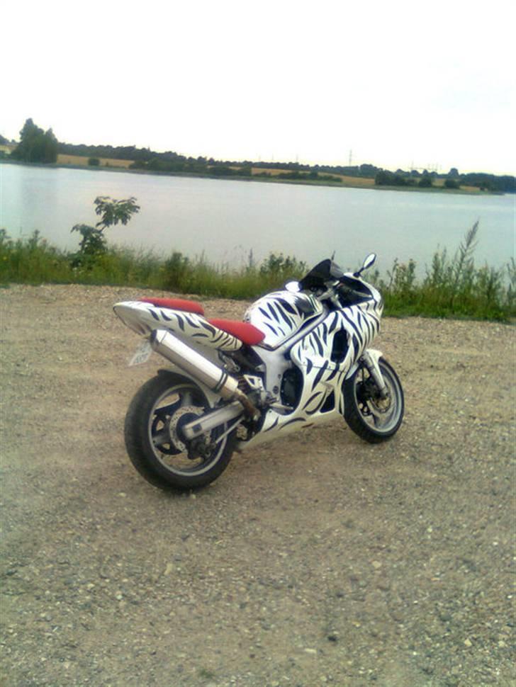 Suzuki SV 650 billede 1