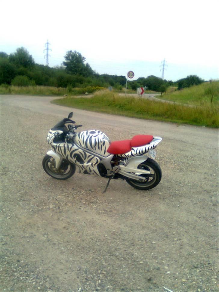 Suzuki SV 650 billede 2