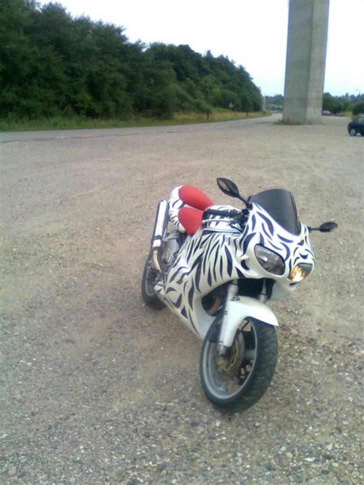 Suzuki SV 650 billede 3