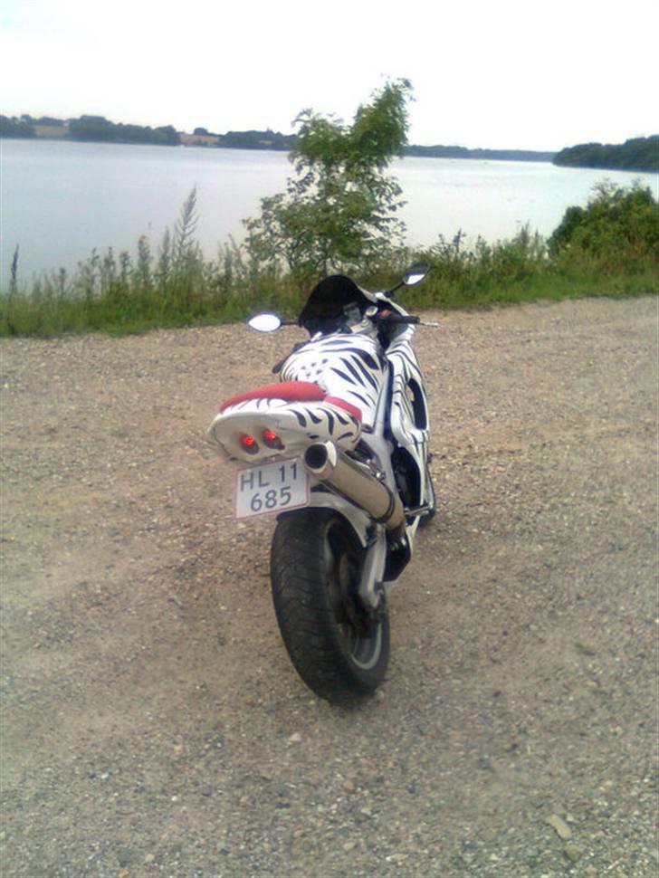 Suzuki SV 650 billede 4