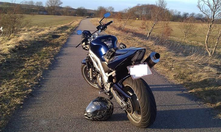 Suzuki SV 1000 N K4 billede 17