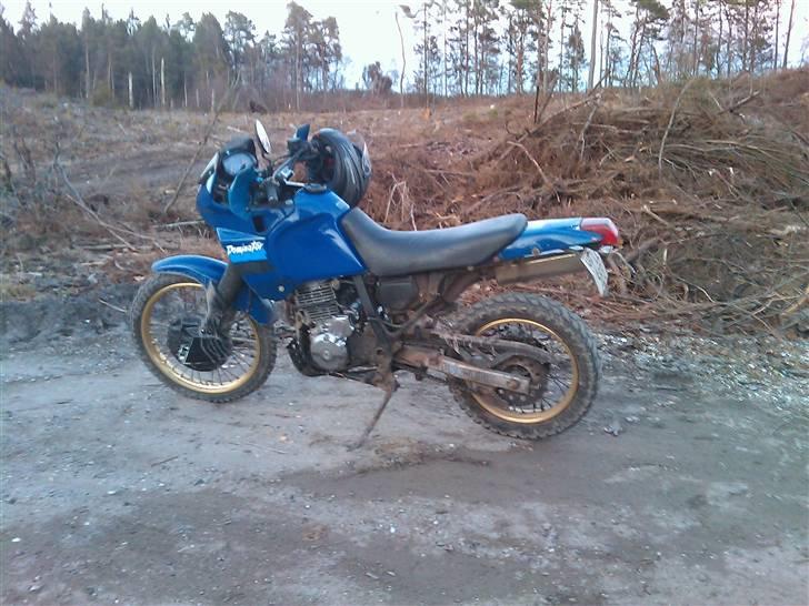 Honda NX 650 billede 1