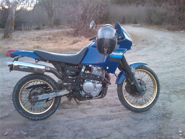 Honda NX 650 billede 2