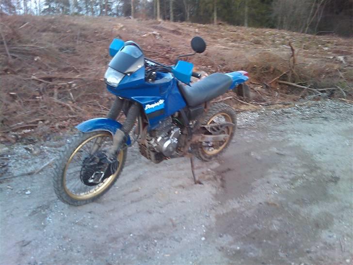 Honda NX 650 billede 4