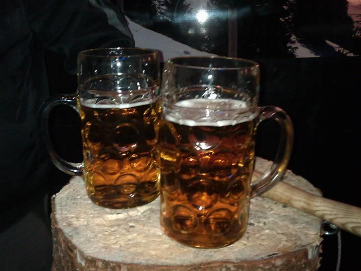 Honda NX 650 - Beviset på der findes andet en motorcykler i livet.... billede 5