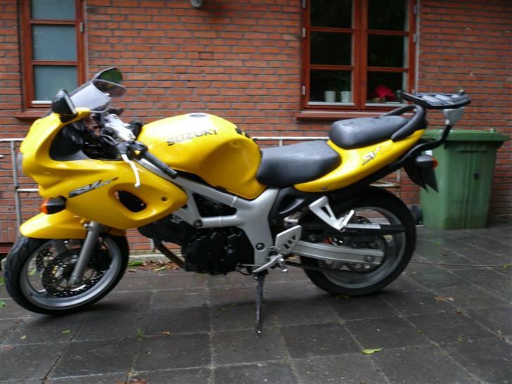 Suzuki SV650 Streetfighter - standard før ombygning :-( billede 8