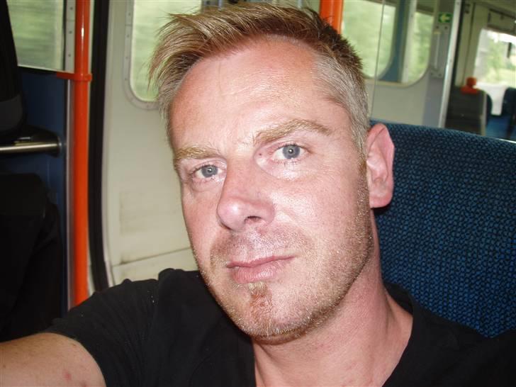 Hyosung gv650 billede 8