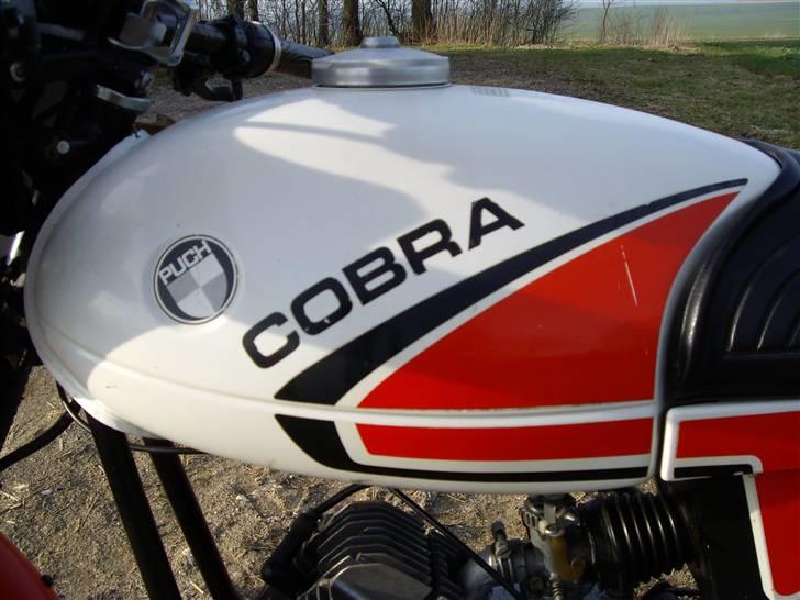 Puch Cobra M 80 billede 9