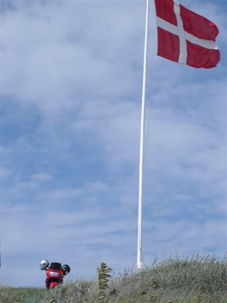 Honda CBR 1000F SC24 - En hemmelig restaurant på Bornholm, for enden af en øde vej på forreste klit på en øde strand med imponerende havudsigt og et kæmpeflag. Skørt sted :-) billede 15