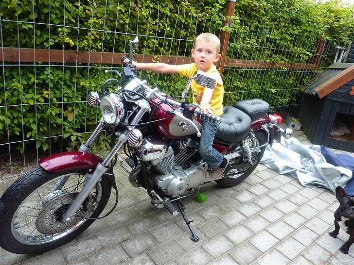 Yamaha virago 250 xv - Efter den blev stylet lidt sidste år eller inden stod den som standard billede 2