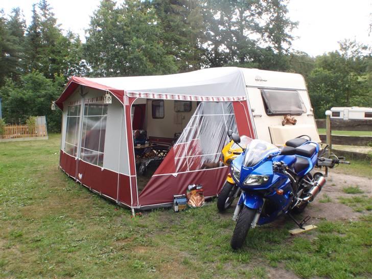 Suzuki SV1000S K7 billede 2