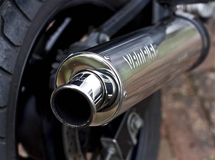 Suzuki Gs 500 F SOLGT billede 7