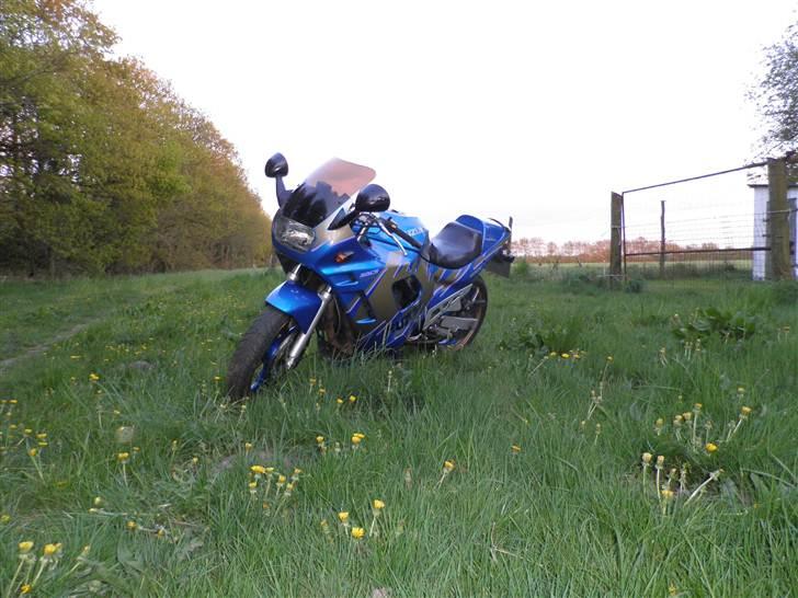 Suzuki GSX600F billede 2
