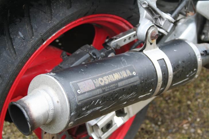 Yamaha FZR 1000 billede 5