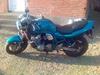 Suzuki GSF 600 Bandit ( Solgt )