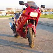 Honda cbr1000  