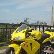 Honda CBR600RR - SOLGT
