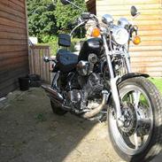 Yamaha virago 1100