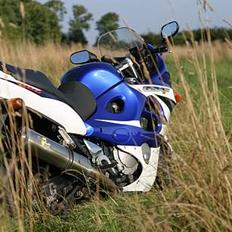 Suzuki GSX 600 F