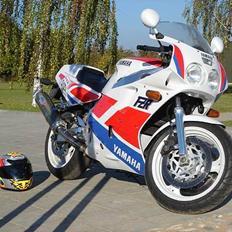 Yamaha Fzr 1000