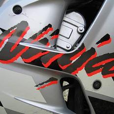 Kawasaki ZX-6R (SOLGT)