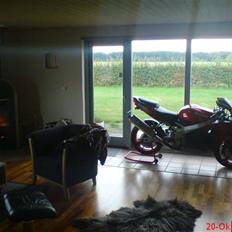 Kawasaki zx9r til salg