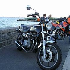 Kawasaki Z 1000 LTD