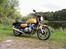 Suzuki GS1000