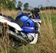 Suzuki GSX 600 F