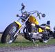 Suzuki Savage LS 650 