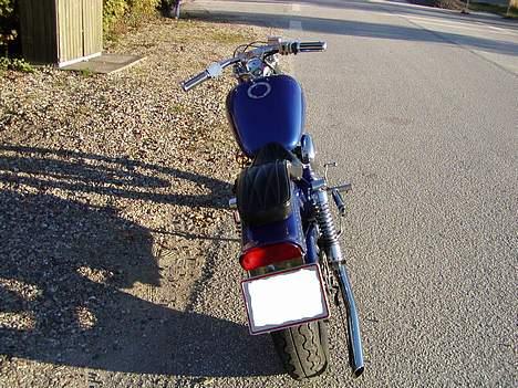 Harley Davidson Sportster(TILS... / BYT ) billede 6