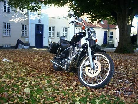 Suzuki Intruder VS 750 GL billede 4