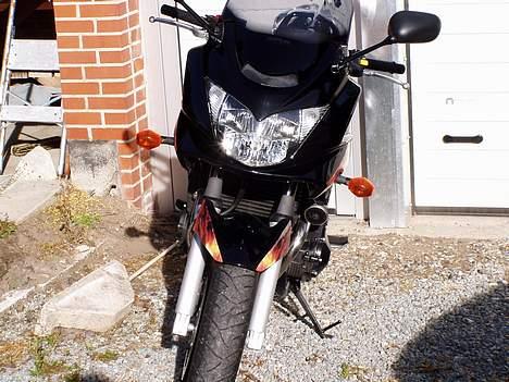 Suzuki Bandit 650 S  - Banditten er klar til en tur ud i den blå billede 4