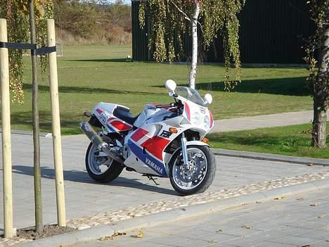 Yamaha Fzr 1000 billede 7