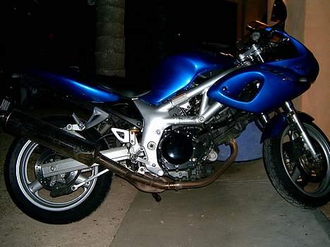 Suzuki SV650S - I aftens lys ved SW rocks -ca. 500km N fra Sydney og 500km syd fra Brisbane billede 1