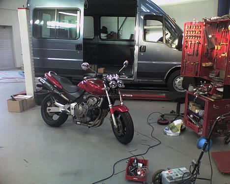 Honda  CB 600 F Hornet billede 5