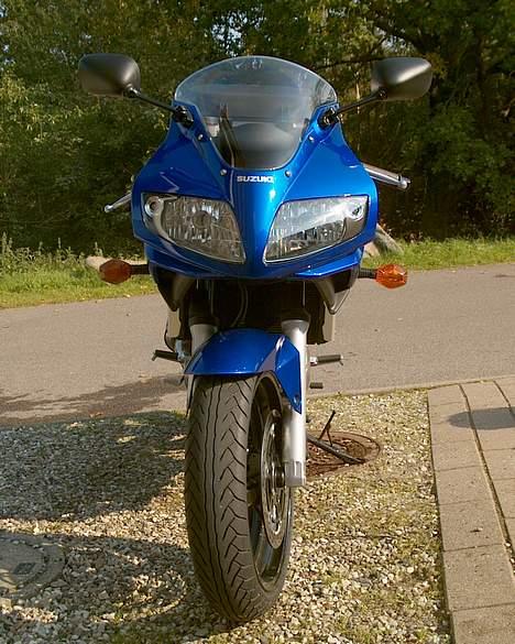 Suzuki SV 650 S (solgt) billede 8