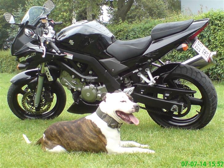 Suzuki SV650S K5 (SOLGT) - Som den ser ud idag... billede 2