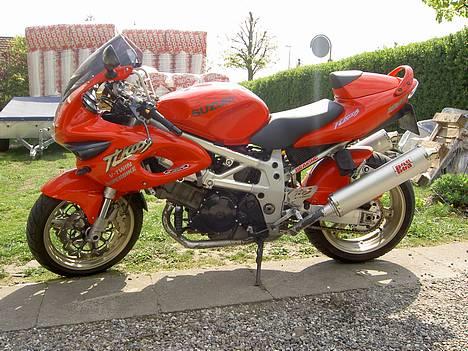 Suzuki TL1000S billede 16