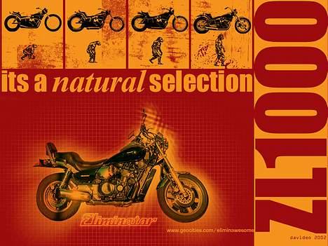 Kawasaki ZL1000 Eliminator"Solgt" - The Evolution... billede 13