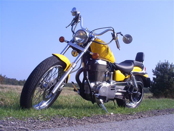 Suzuki Savage LS 650  - So shiny.. billede 1