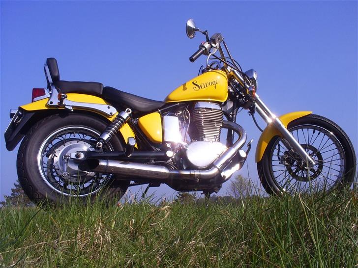 Suzuki Savage LS 650  - En lille plads i solen billede 2