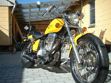 Suzuki Savage LS 650  billede 4