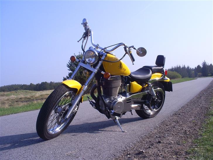 Suzuki Savage LS 650  billede 5