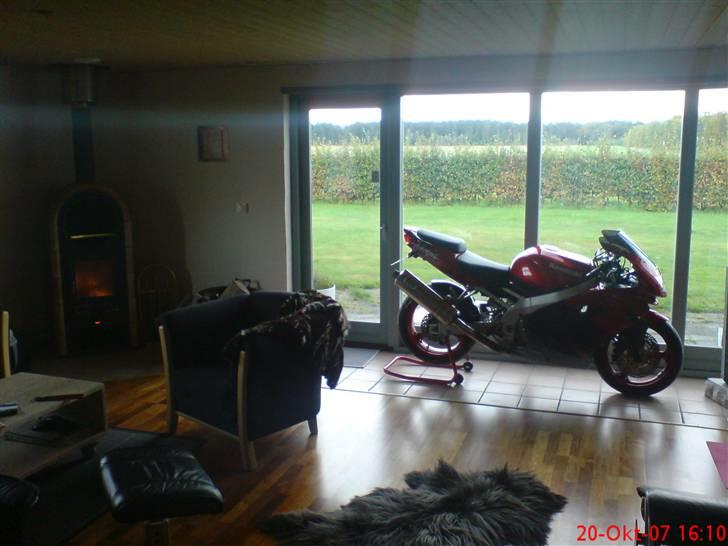 Kawasaki zx9r til salg - Vinter opbevaring billede 1