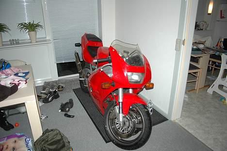 Suzuki RGV [SOLGT] - Lige kommet hjem med den, direkte ind i stuen (Konens forslag)   : ) billede 5