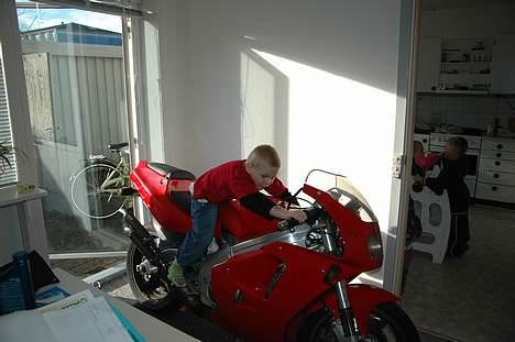 Suzuki RGV [SOLGT] - Hmm...Mor Er du sikker på jeg er for lille ?!?  billede 6