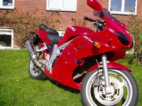 Suzuki SV 650S - SOLGT - - Forårsbillede 2006 - fundet frem fra sit vinterhi:D billede 1